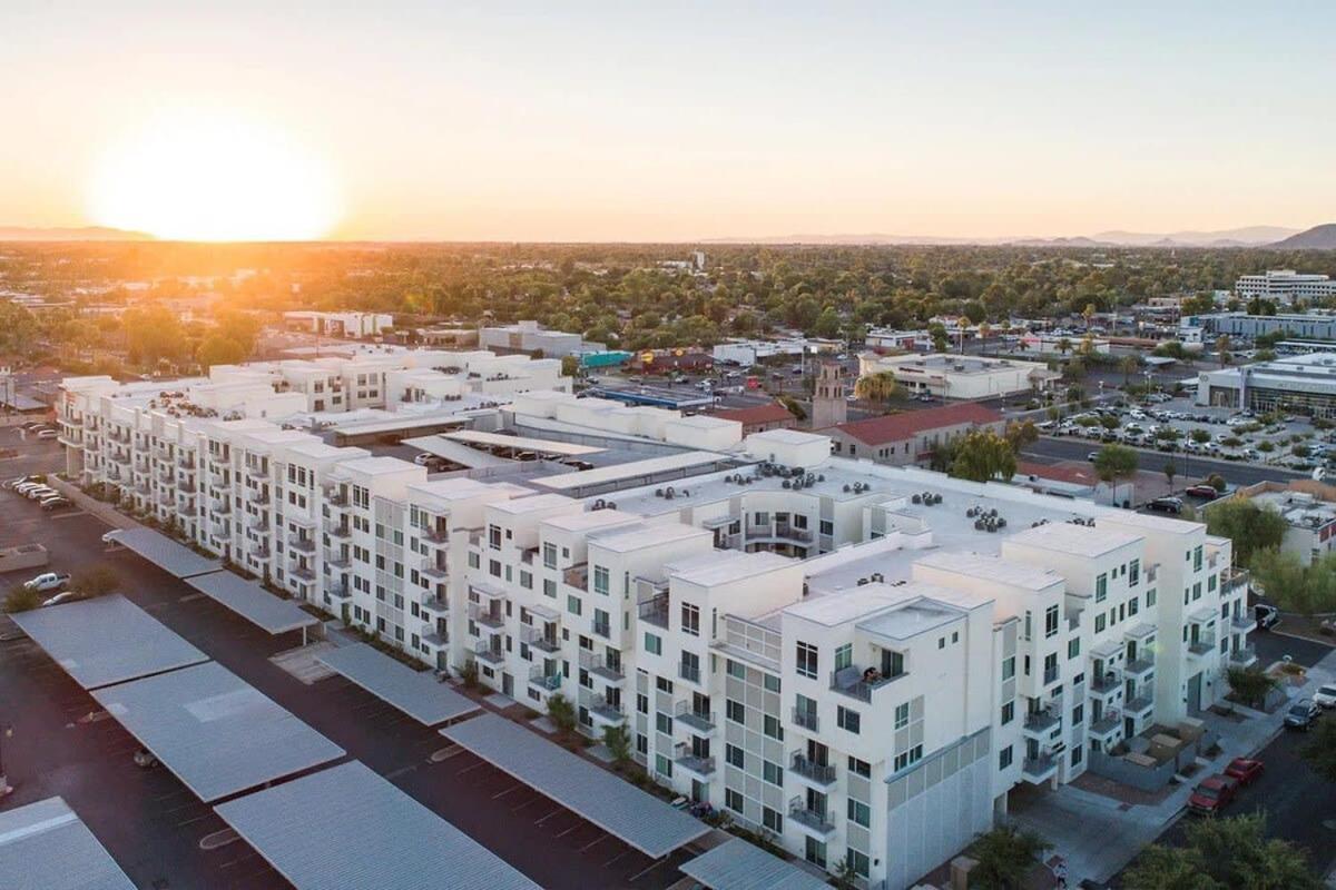 Cozysuites Paradise Under The Palms With Pool! 21 Phoenix Exterior photo
